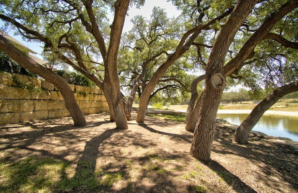 0.2 acres in Kerr County - photo 14