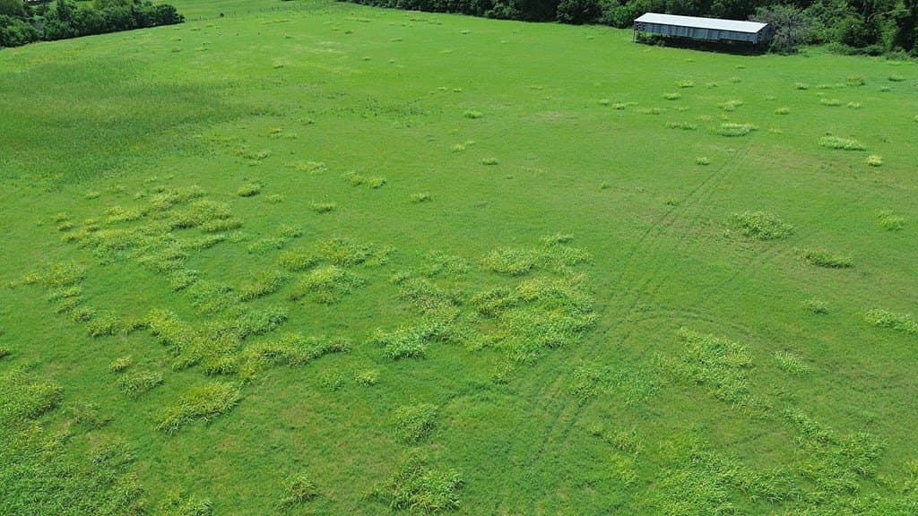 10 acres in Texas County - photo 6