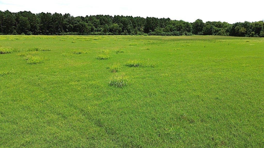 10 acres in Texas County - photo 10