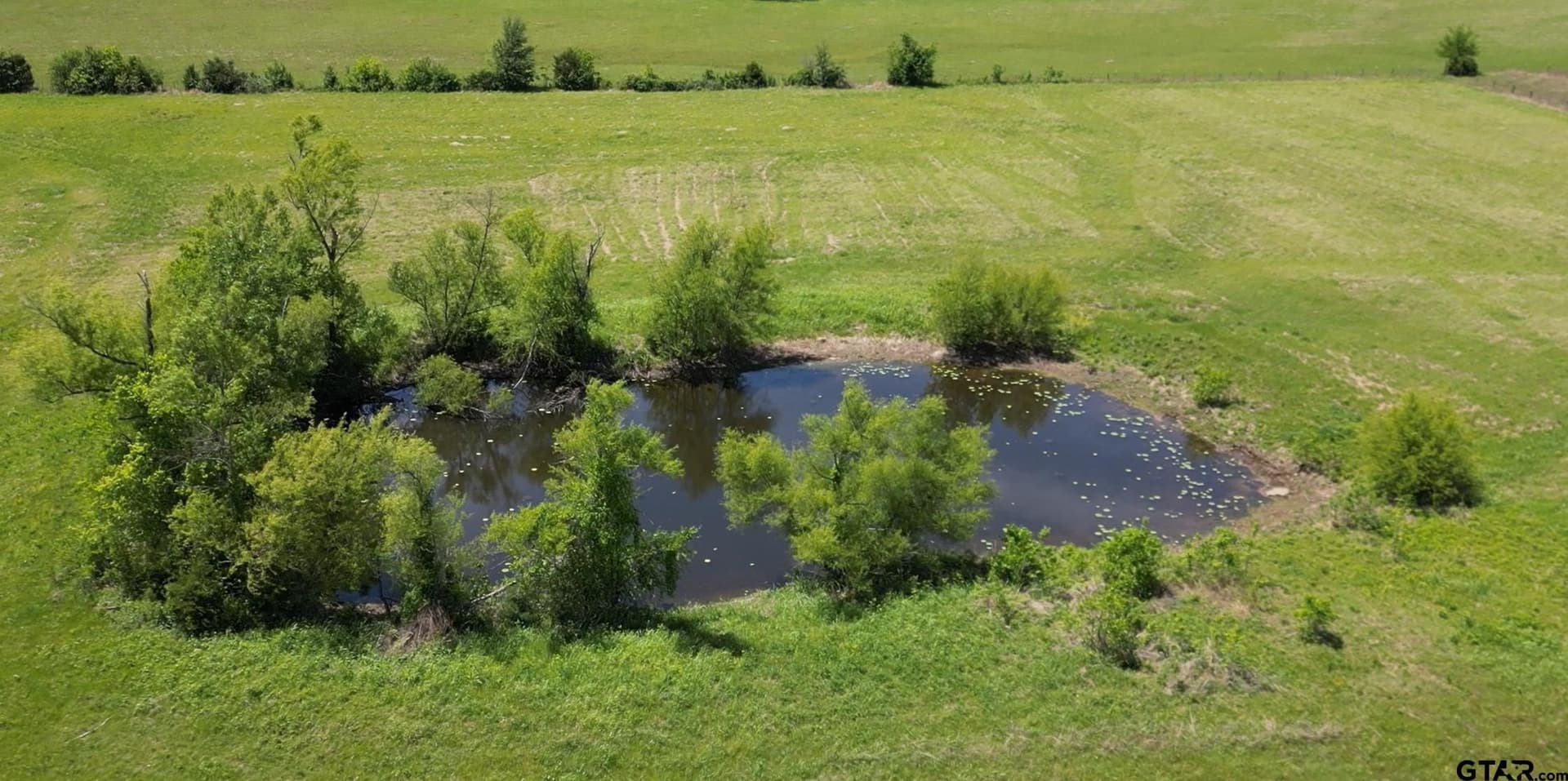 19.32 acres in Lamar County