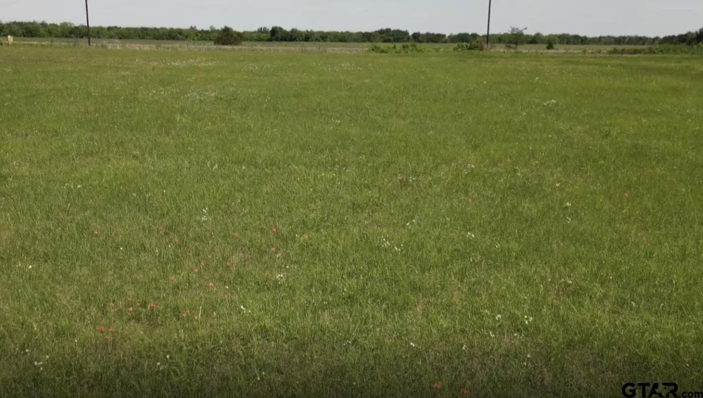 19.32 acres in Lamar County - photo 4