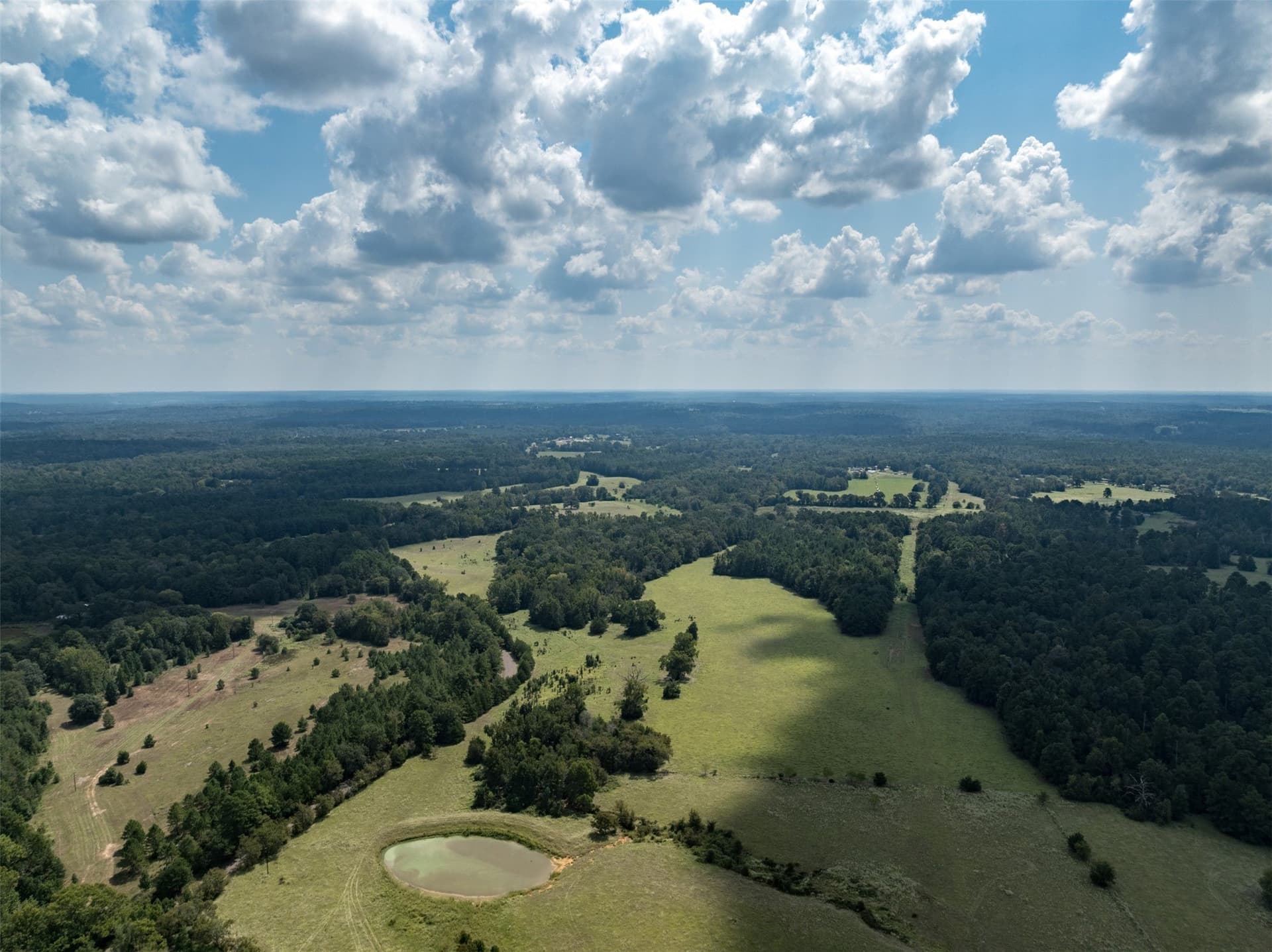 43.1 acres in Anderson County - photo 4