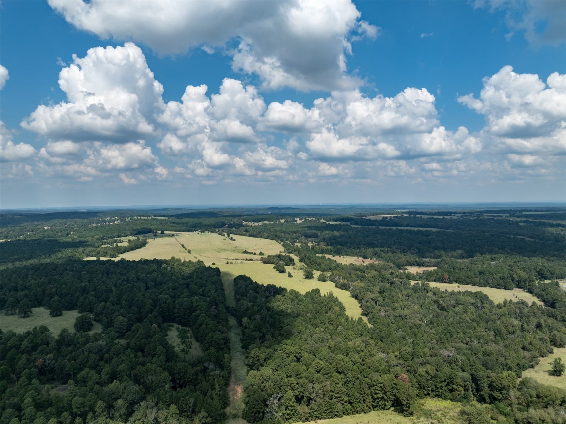 43.1 acres in Anderson County - photo 5