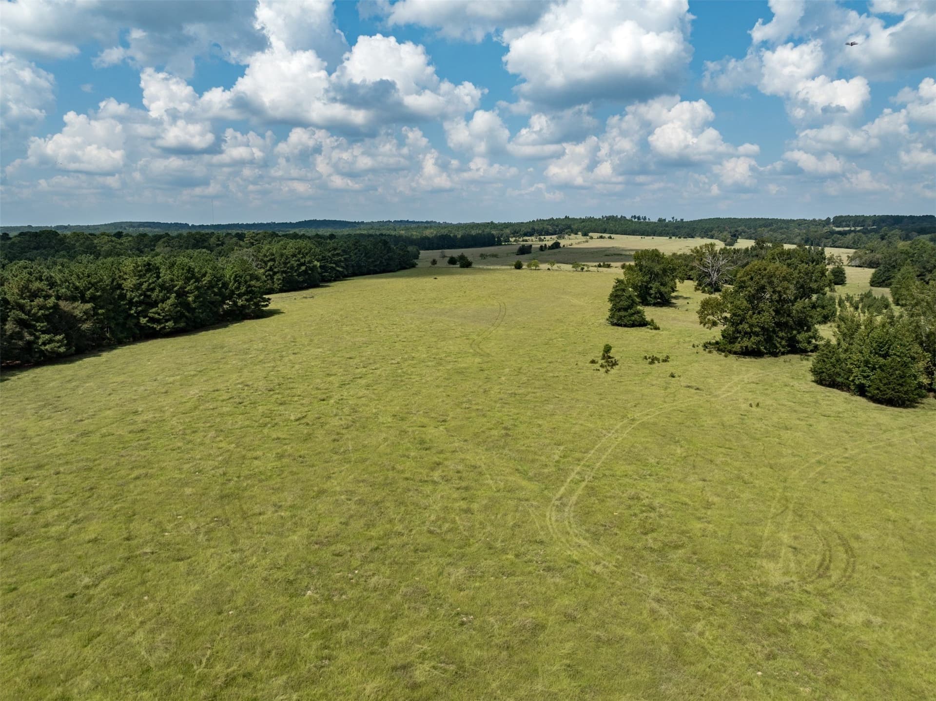 43.1 acres in Anderson County - photo 10