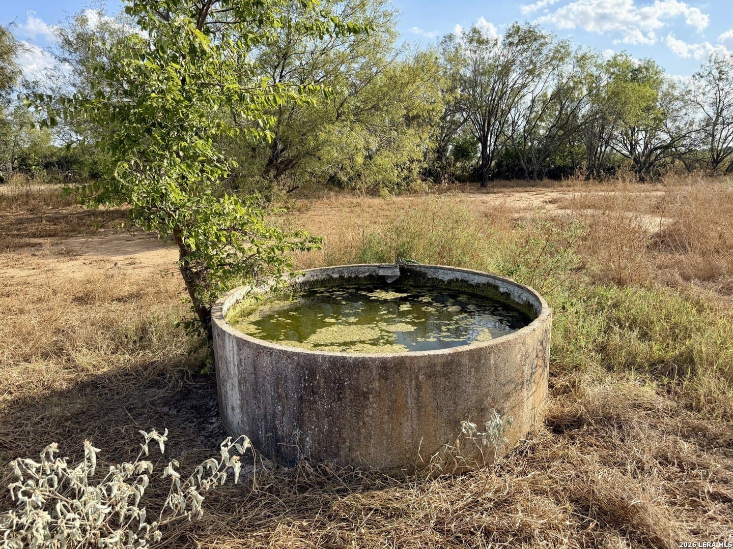 52.36 acres in Gonzales County - photo 65