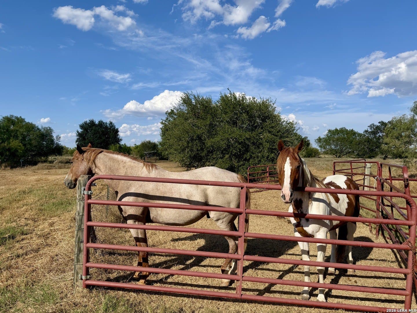 52.36 acres in Gonzales County - photo 14
