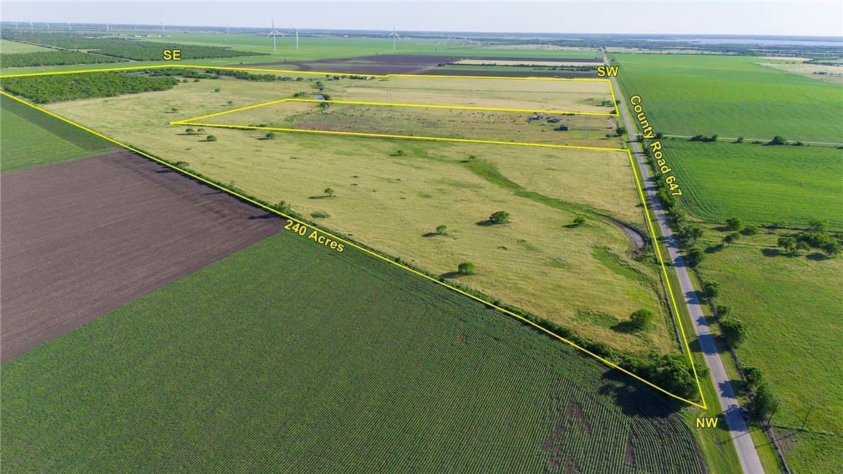 239 acres in San Patricio County - photo 4
