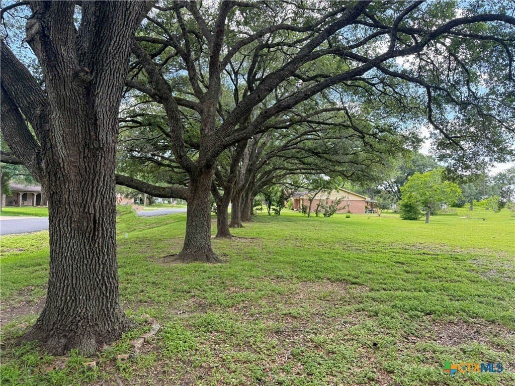 0.55 acres in Victoria County gallery image 4
