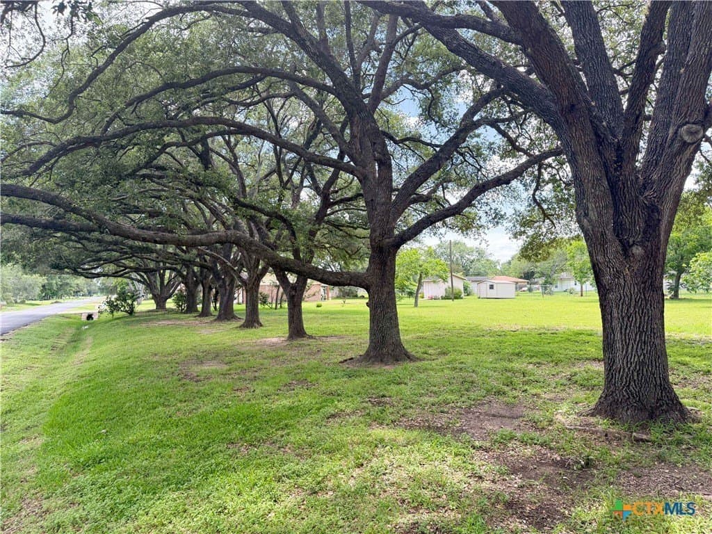 0.55 acres in Victoria County gallery image 3