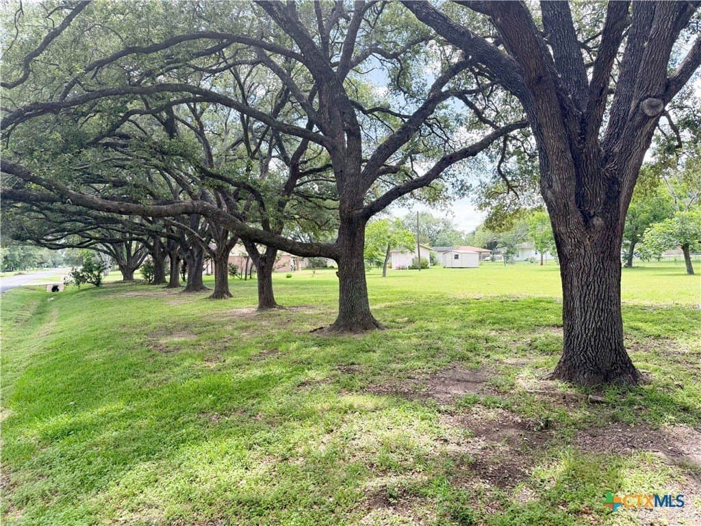 0.55 acres in Victoria County gallery image 2