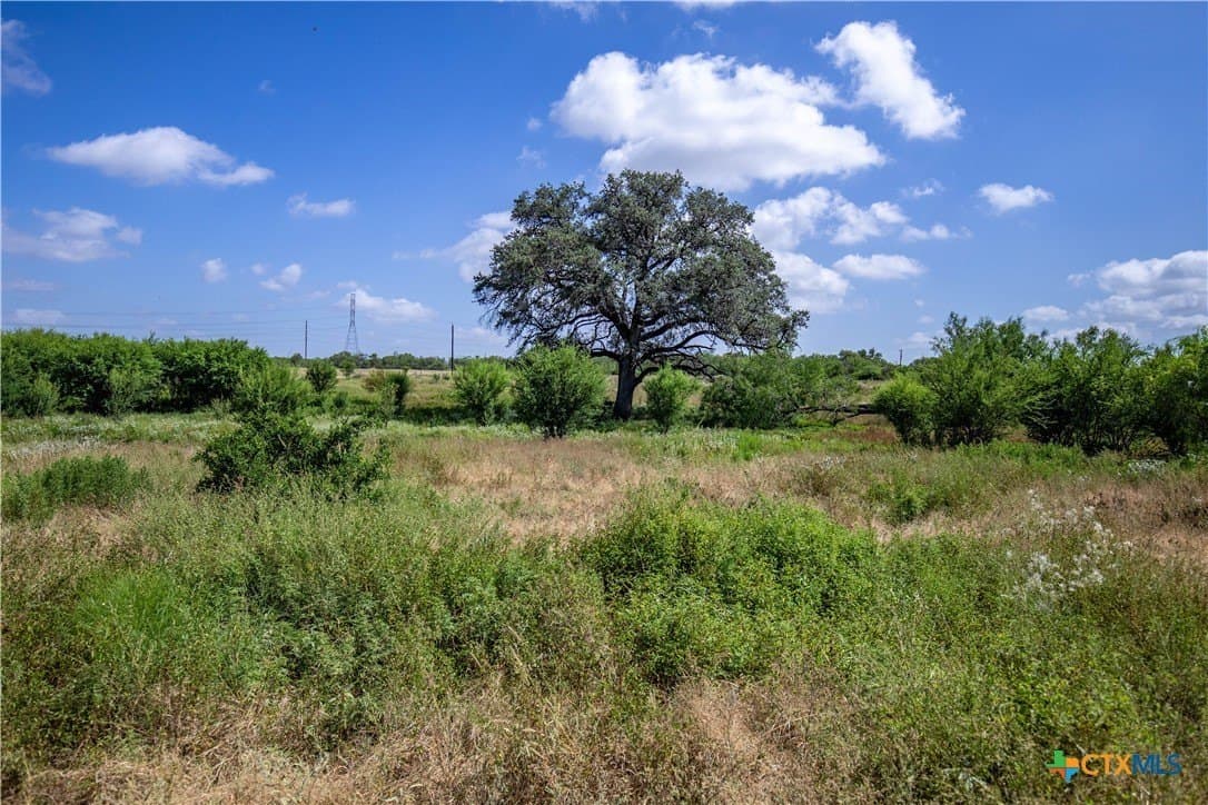 54.36 acres in Bexar County - photo 37