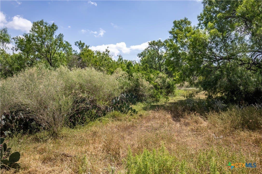 54.36 acres in Bexar County - photo 33