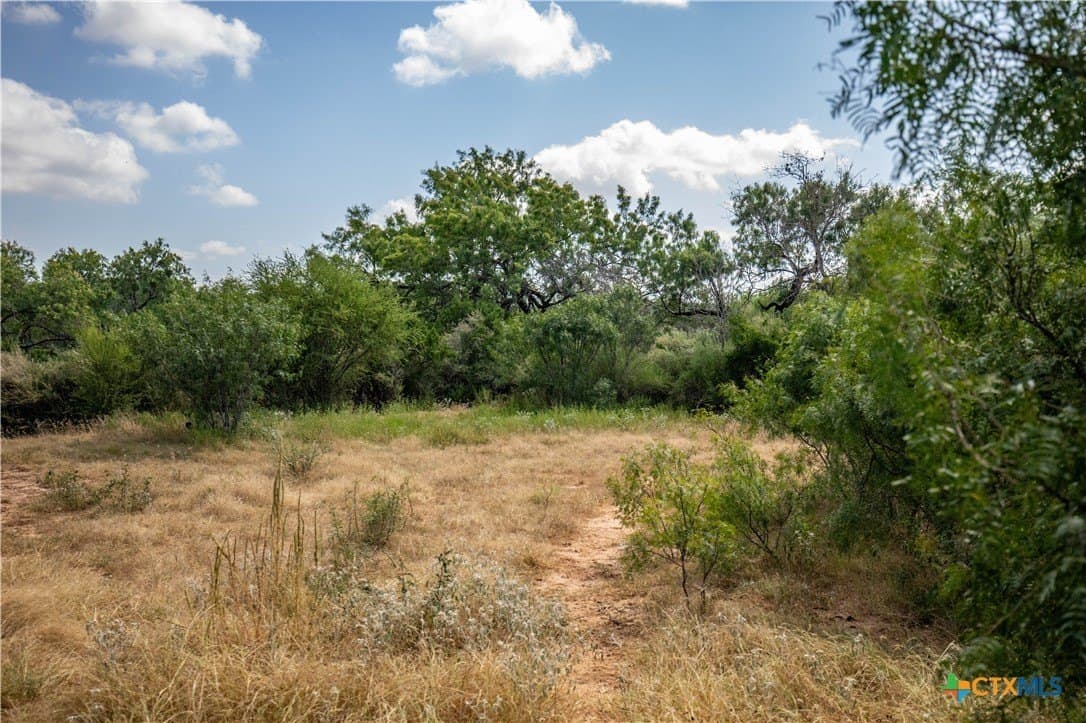 54.36 acres in Bexar County - photo 30