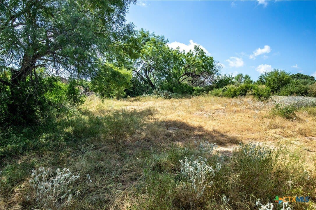 54.36 acres in Bexar County - photo 32