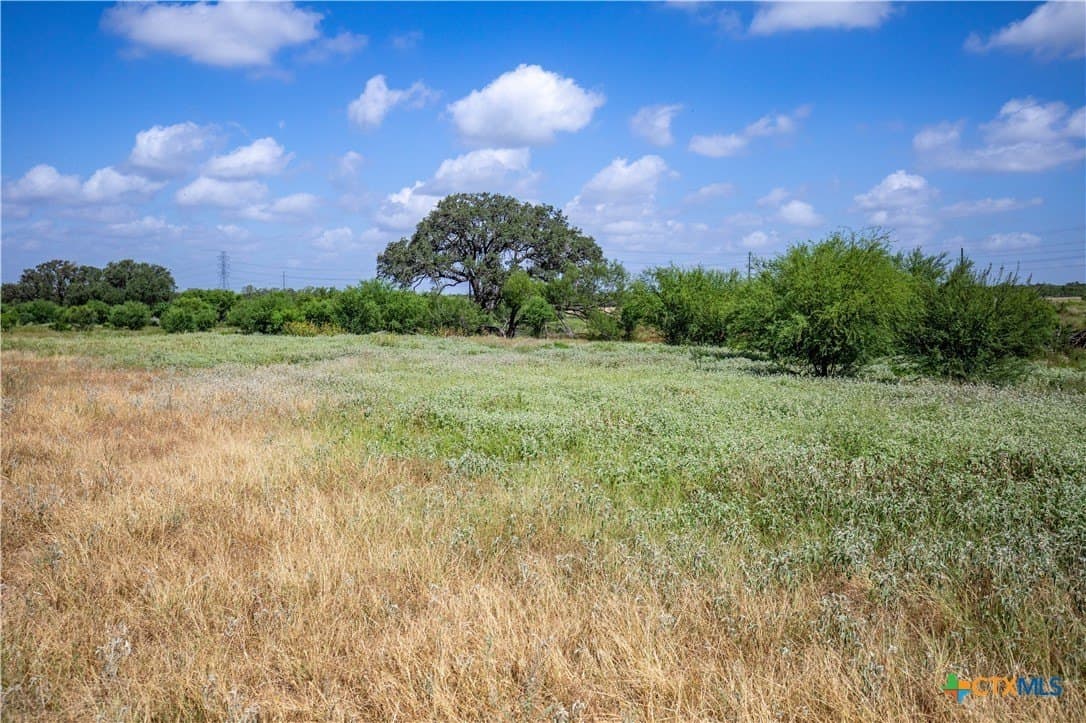 54.36 acres in Bexar County - photo 35