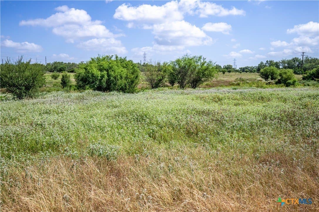 54.36 acres in Bexar County - photo 36