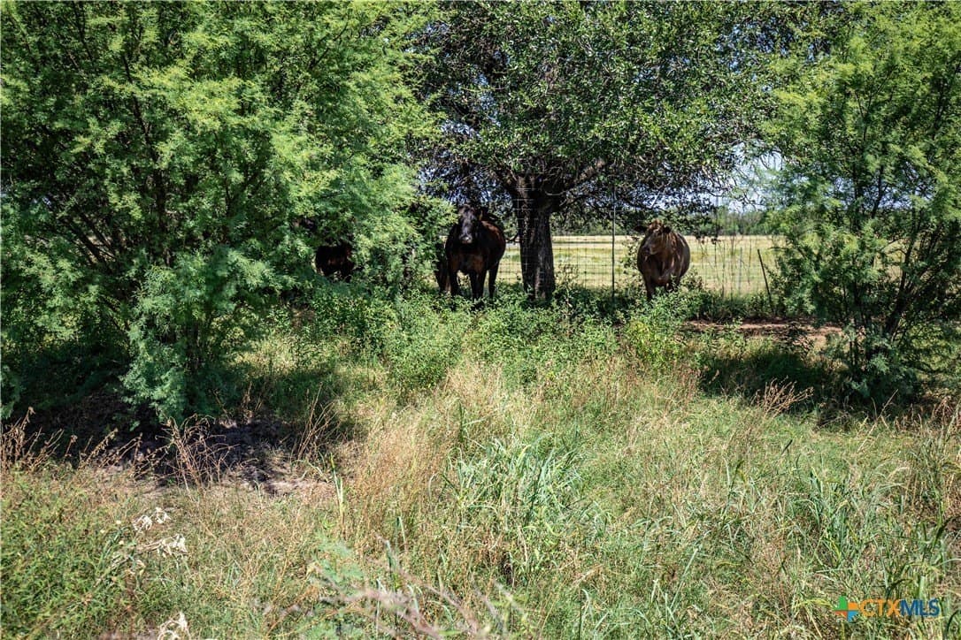 54.36 acres in Bexar County - photo 46