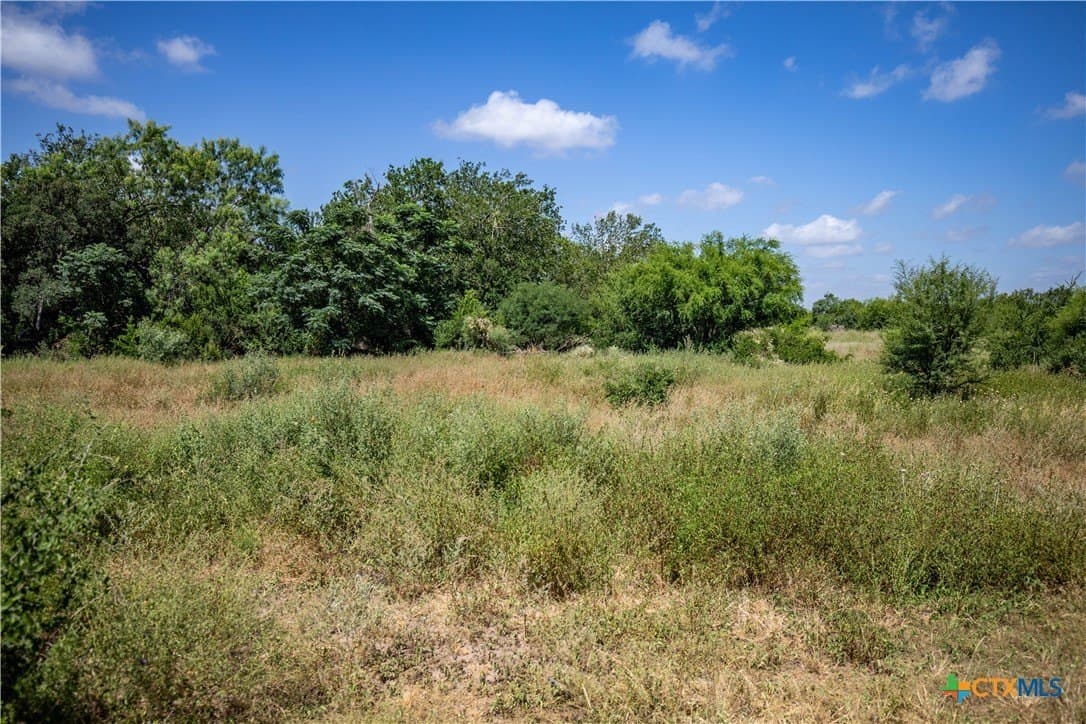 54.36 acres in Bexar County - photo 44