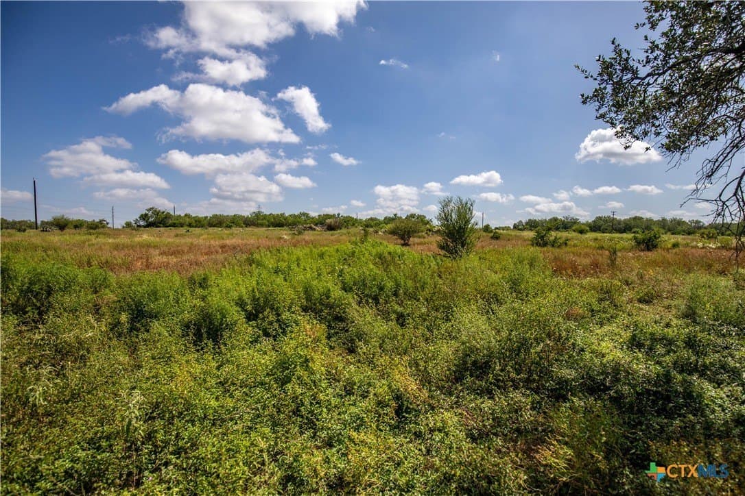 54.36 acres in Bexar County - photo 38