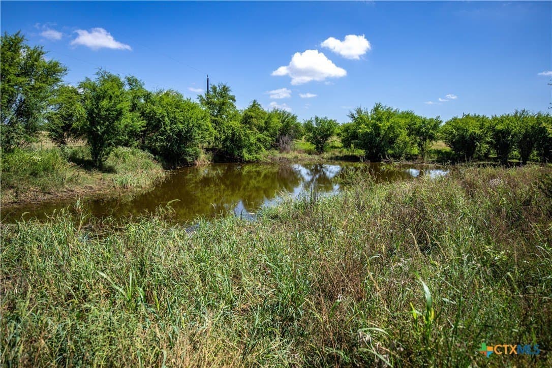 54.36 acres in Bexar County - photo 45