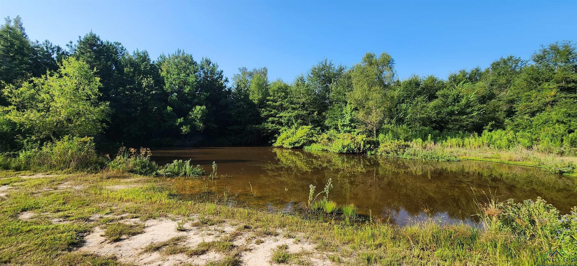 77.58 acres in Marion County featured view