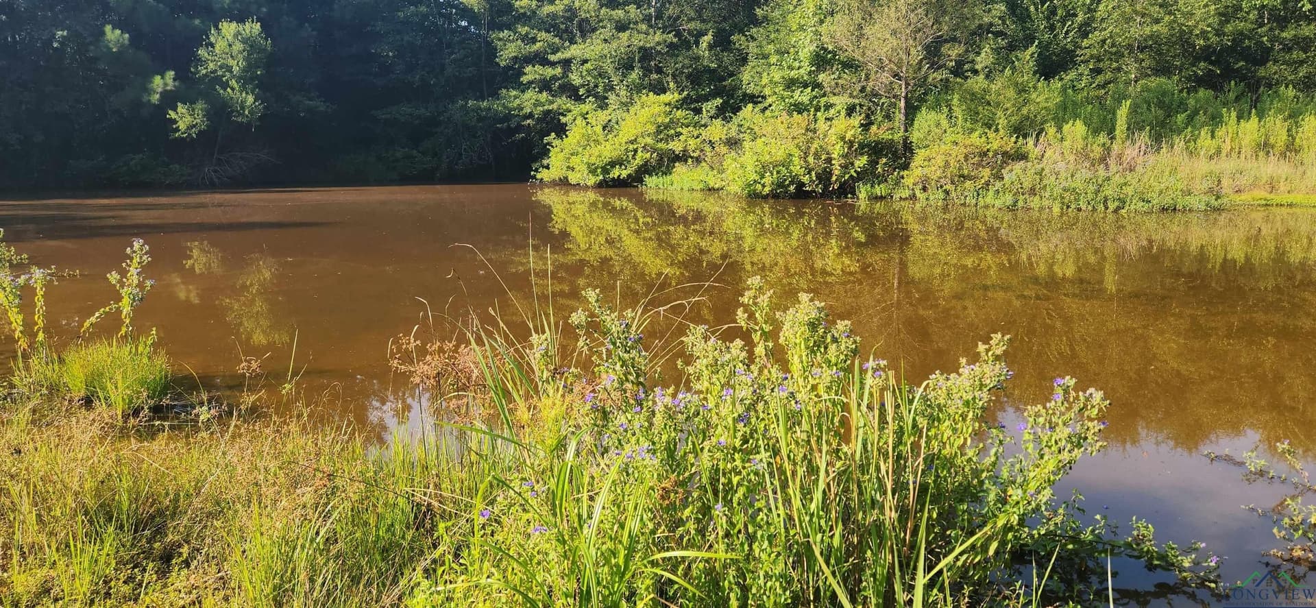 77.58 acres in Marion County gallery image 4