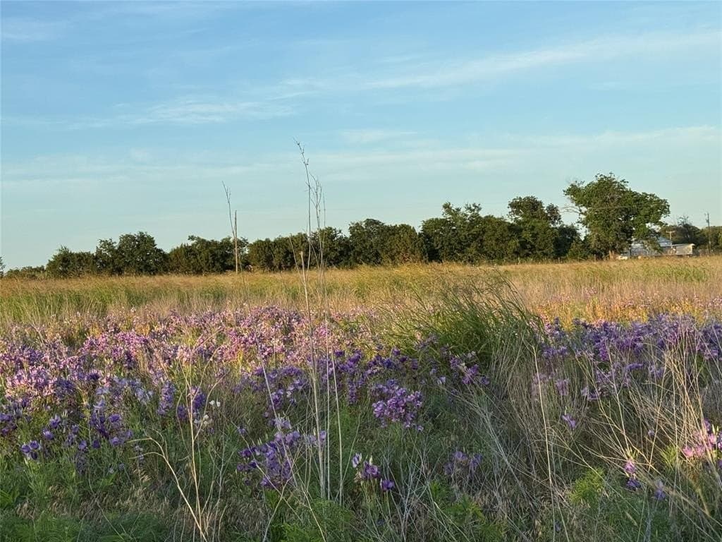 15 acres in Bosque County gallery image 3