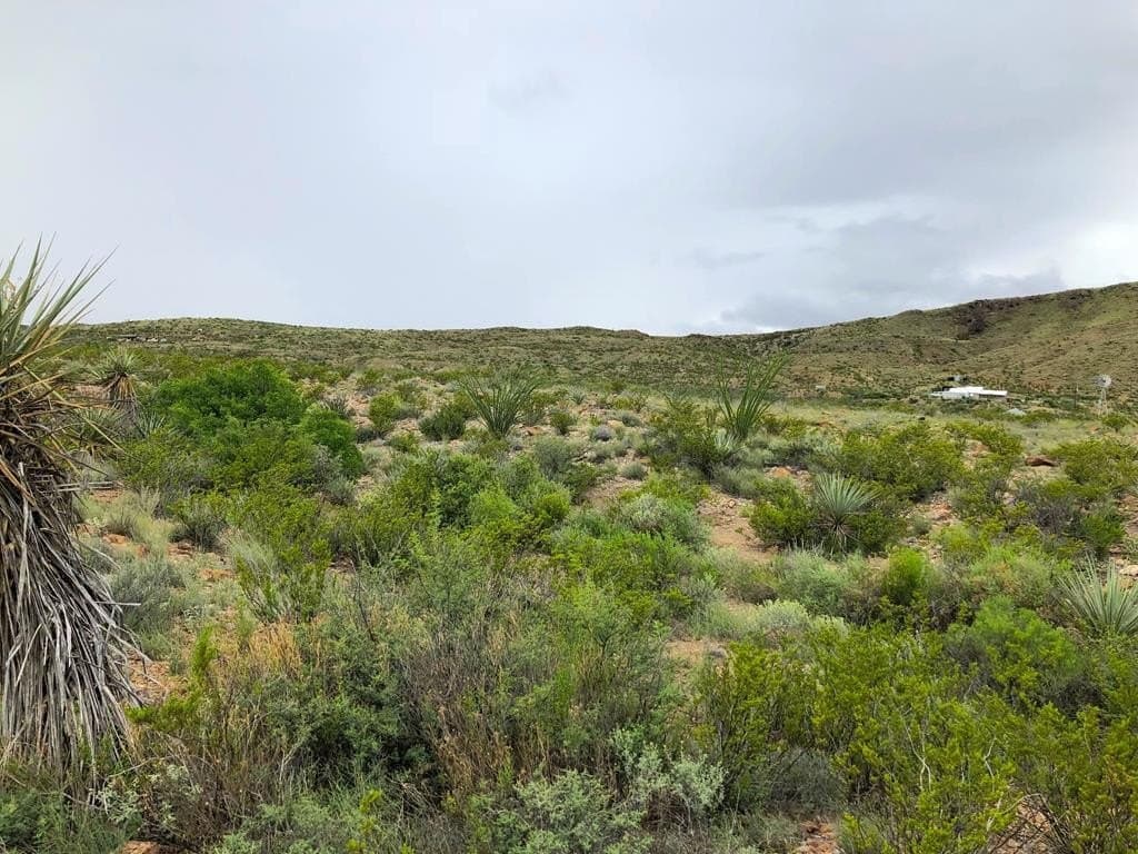 20 acres in Brewster County