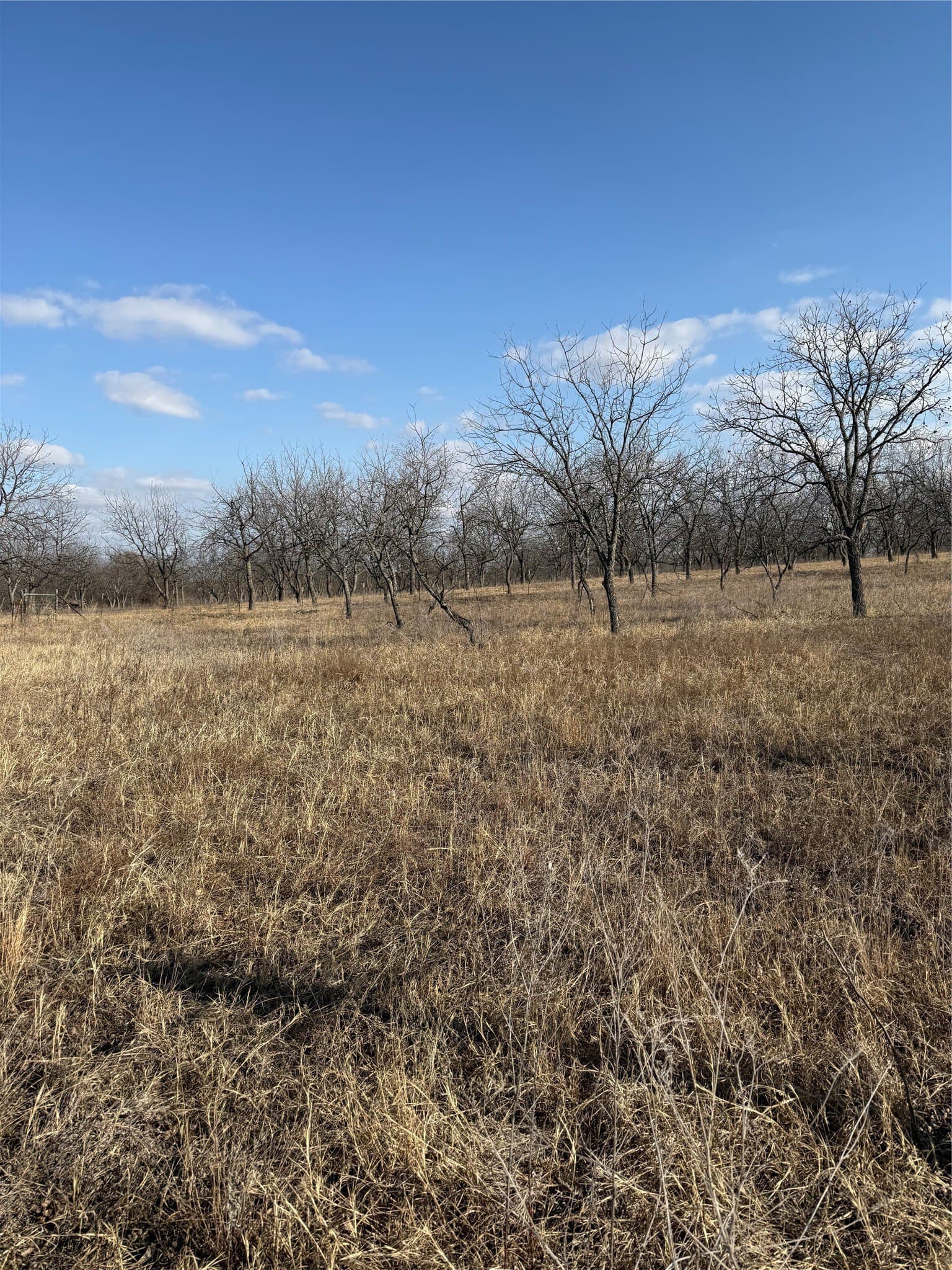 7 acres in Comanche County - photo 4