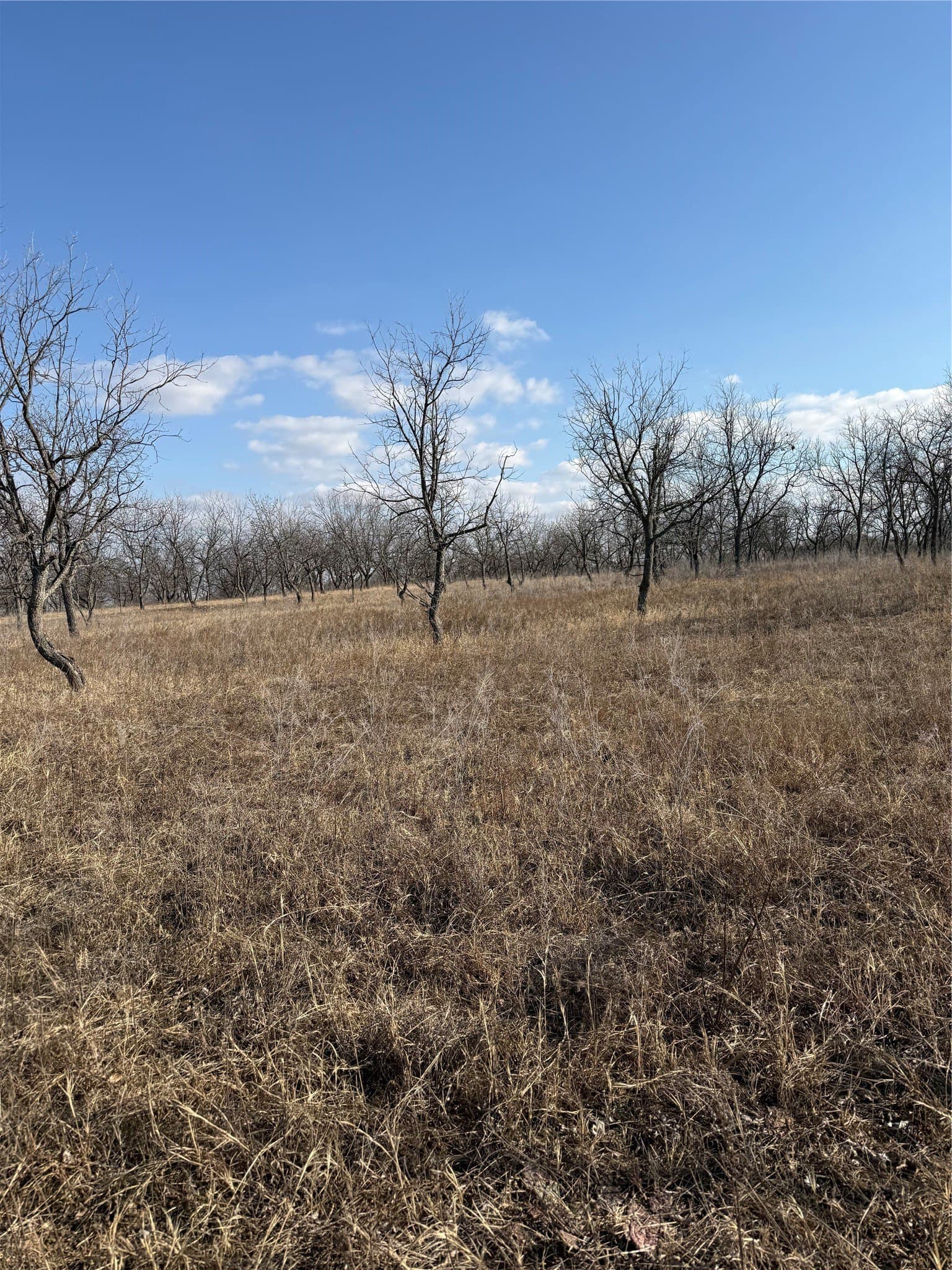 7 acres in Comanche County - photo 5