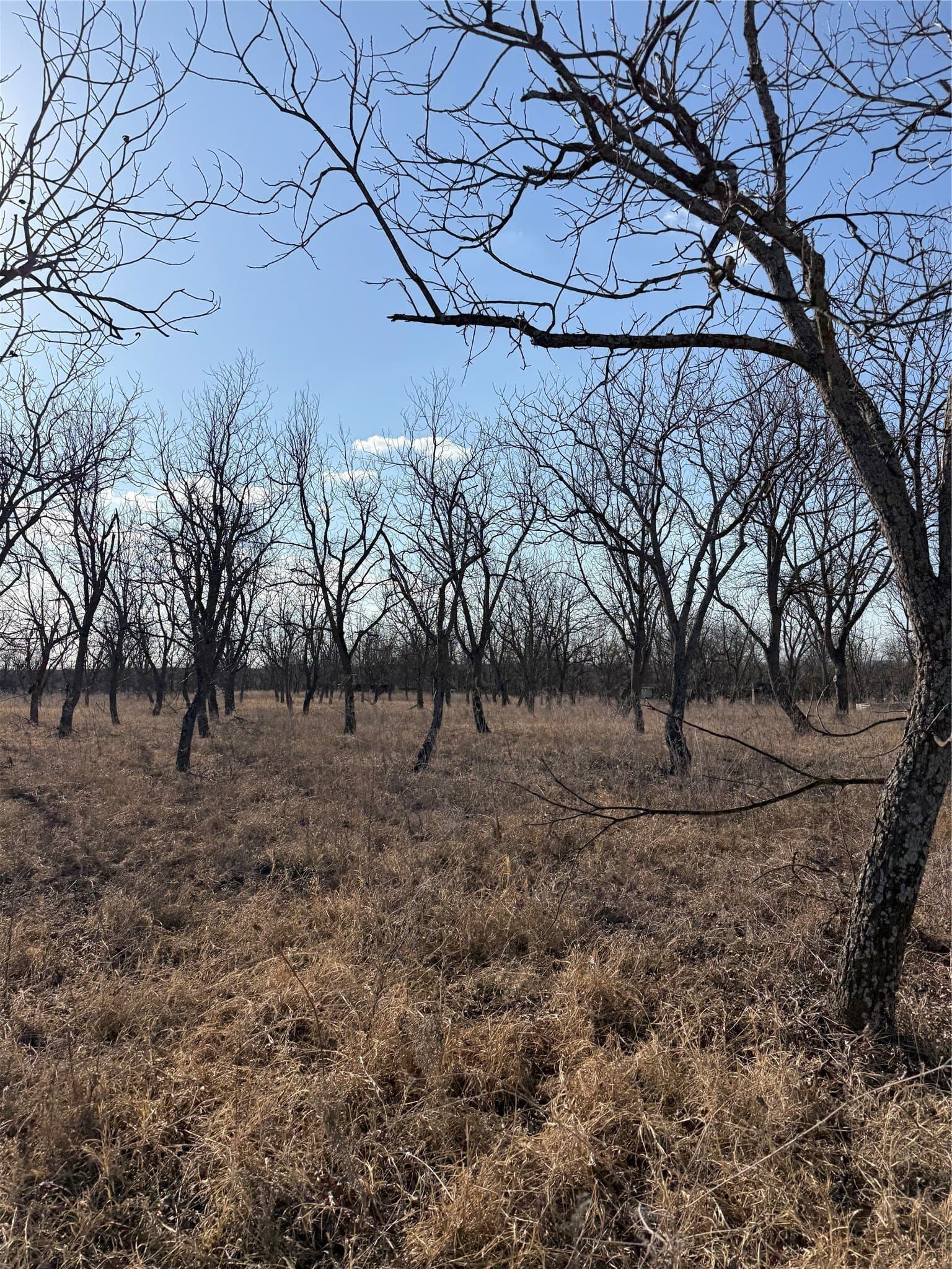 7 acres in Comanche County - photo 3