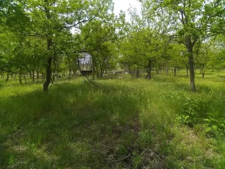 7 acres in Comanche County