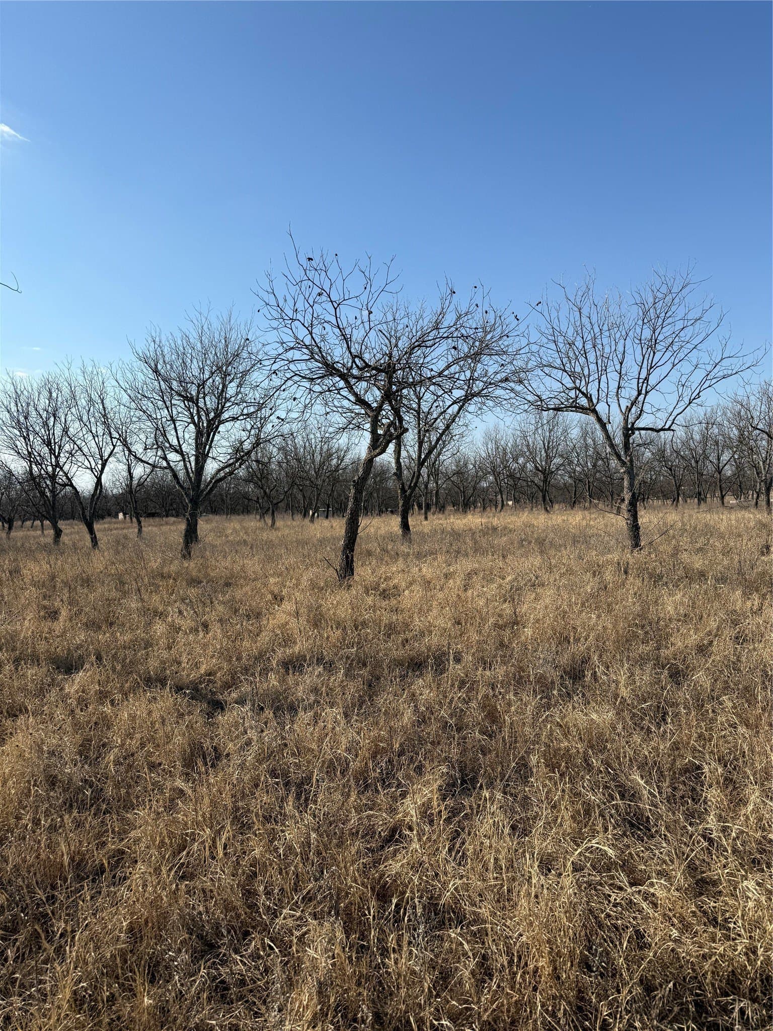7 acres in Comanche County - photo 2