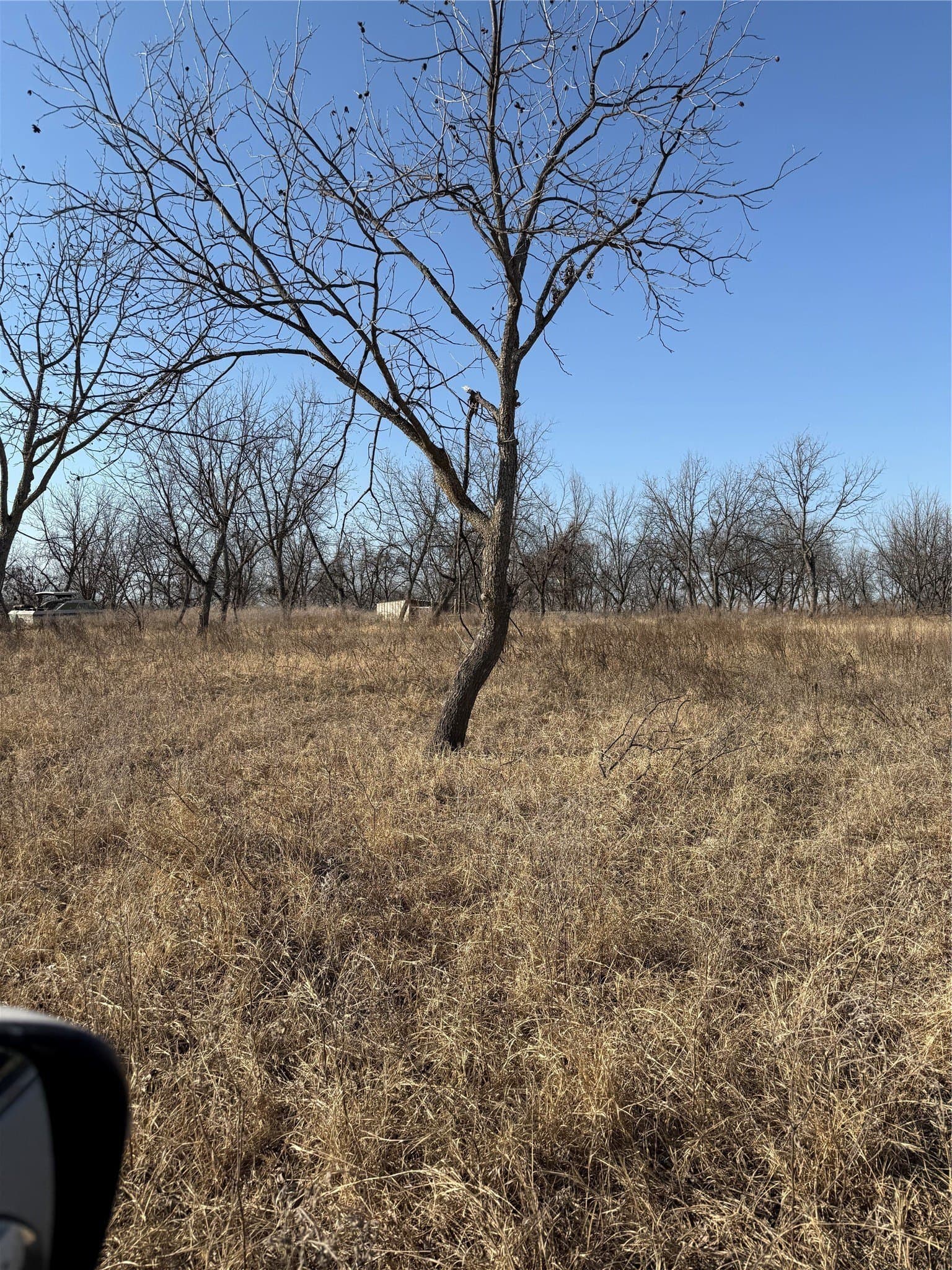 7 acres in Comanche County - photo 6