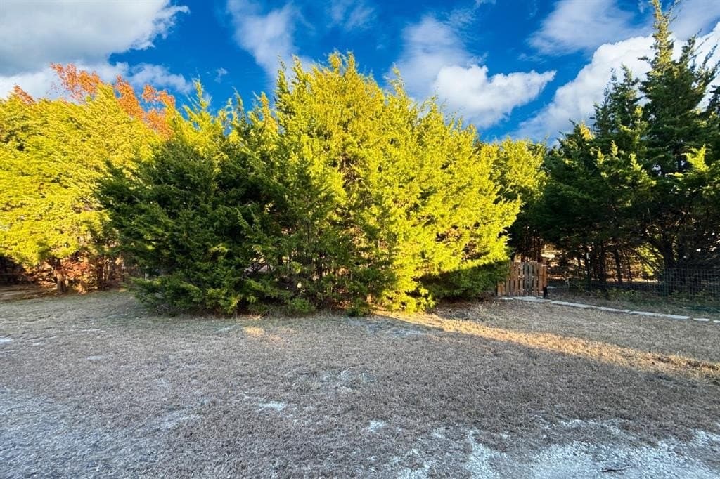 0.11 acres in Collin County gallery image 2