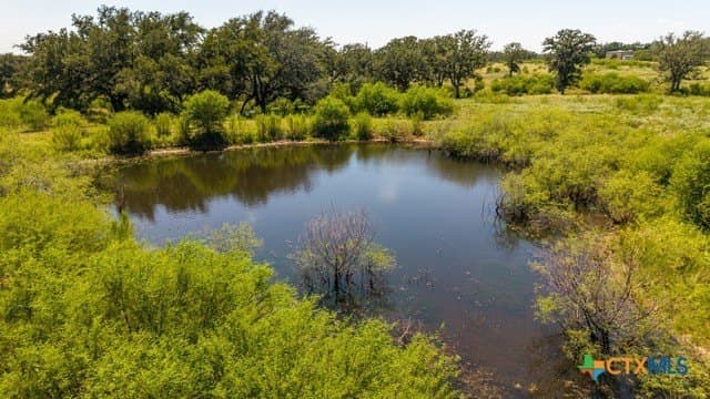 77.2 acres in Guadalupe County - photo 19