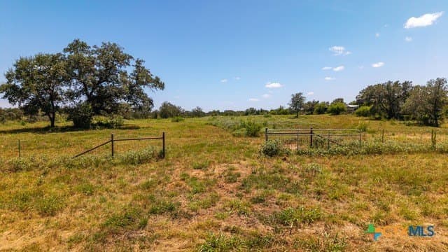 77.2 acres in Guadalupe County - photo 6