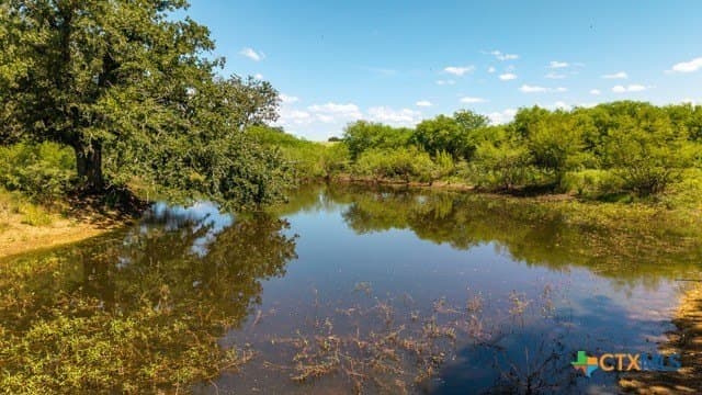77.2 acres in Guadalupe County - photo 20