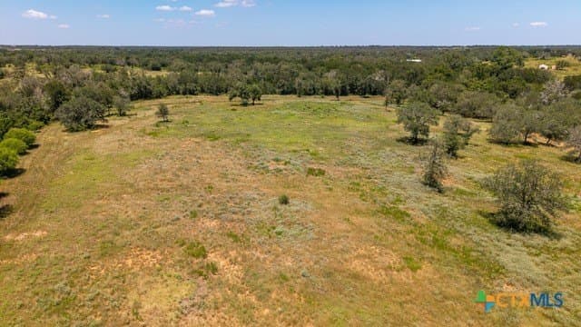 77.2 acres in Guadalupe County - photo 5