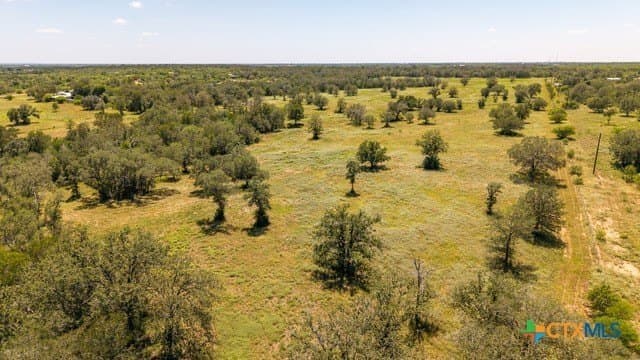 77.2 acres in Guadalupe County - photo 9