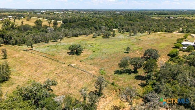 77.2 acres in Guadalupe County - photo 14