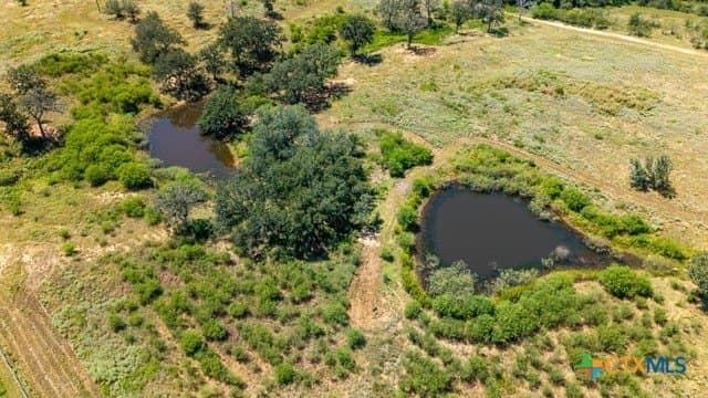 77.2 acres in Guadalupe County - photo 17