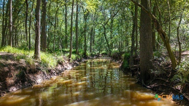 77.2 acres in Guadalupe County - photo 12