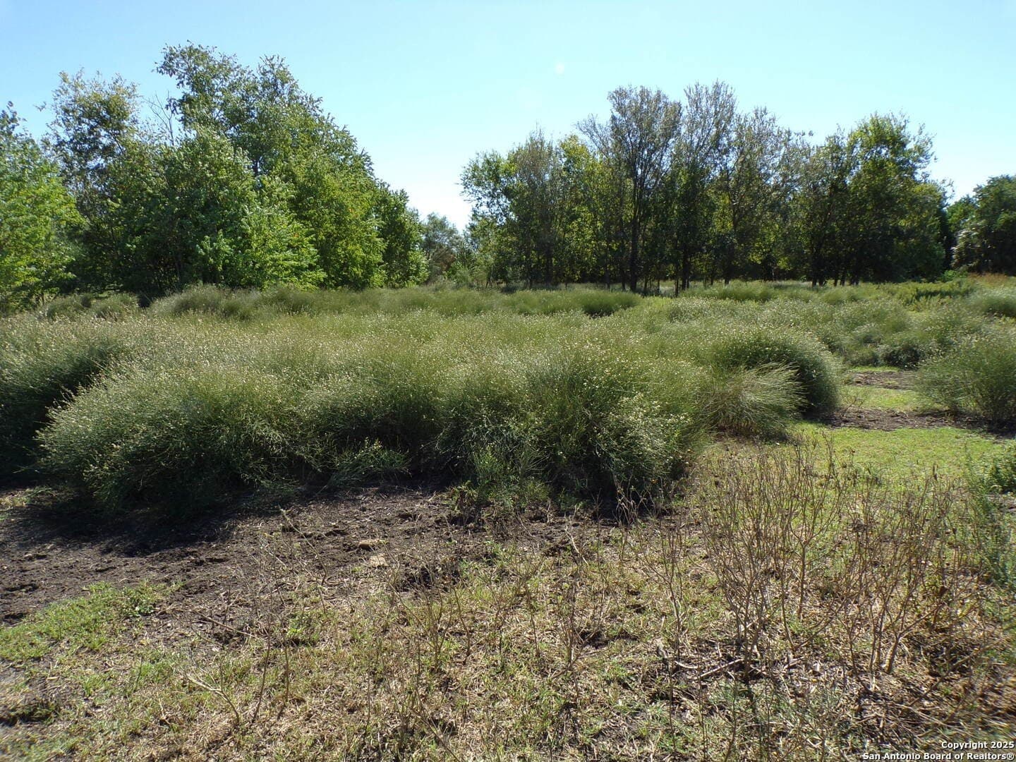 1.44 acres in Bexar County - photo 9