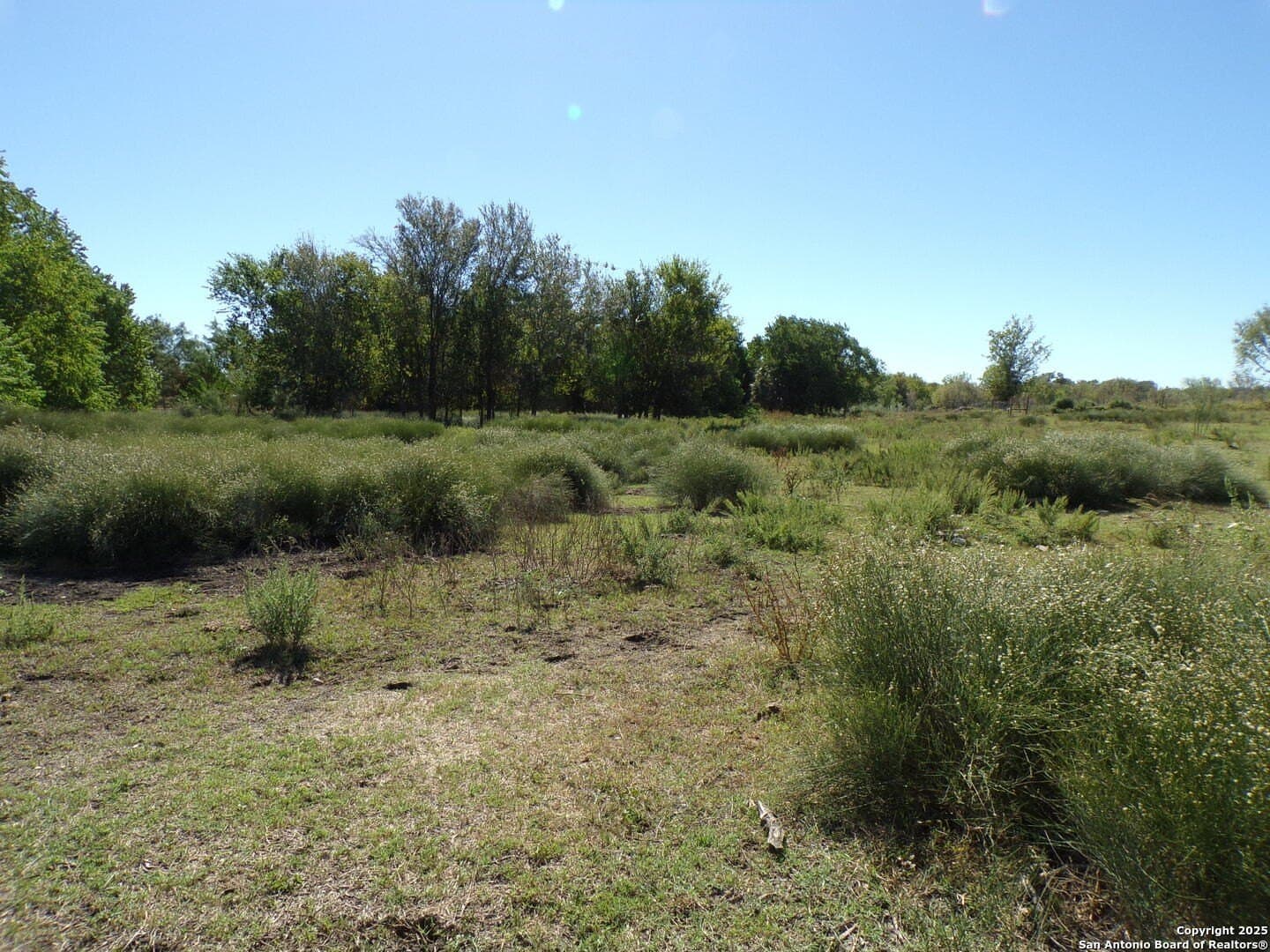1.44 acres in Bexar County - photo 2