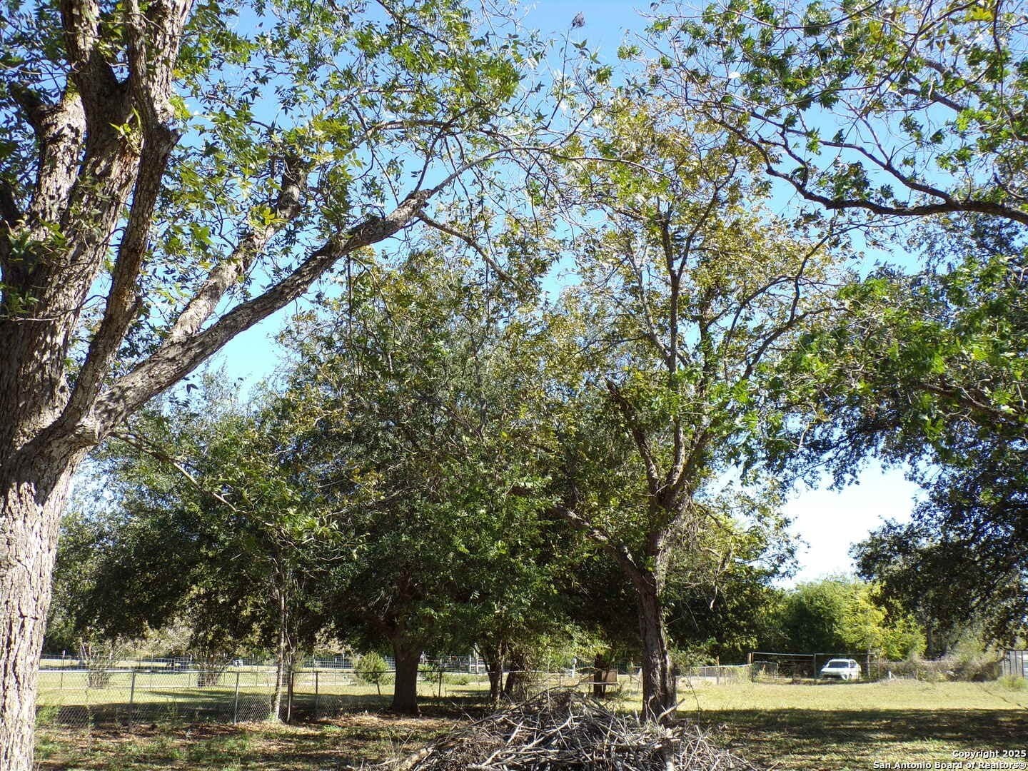 1.44 acres in Bexar County - photo 12