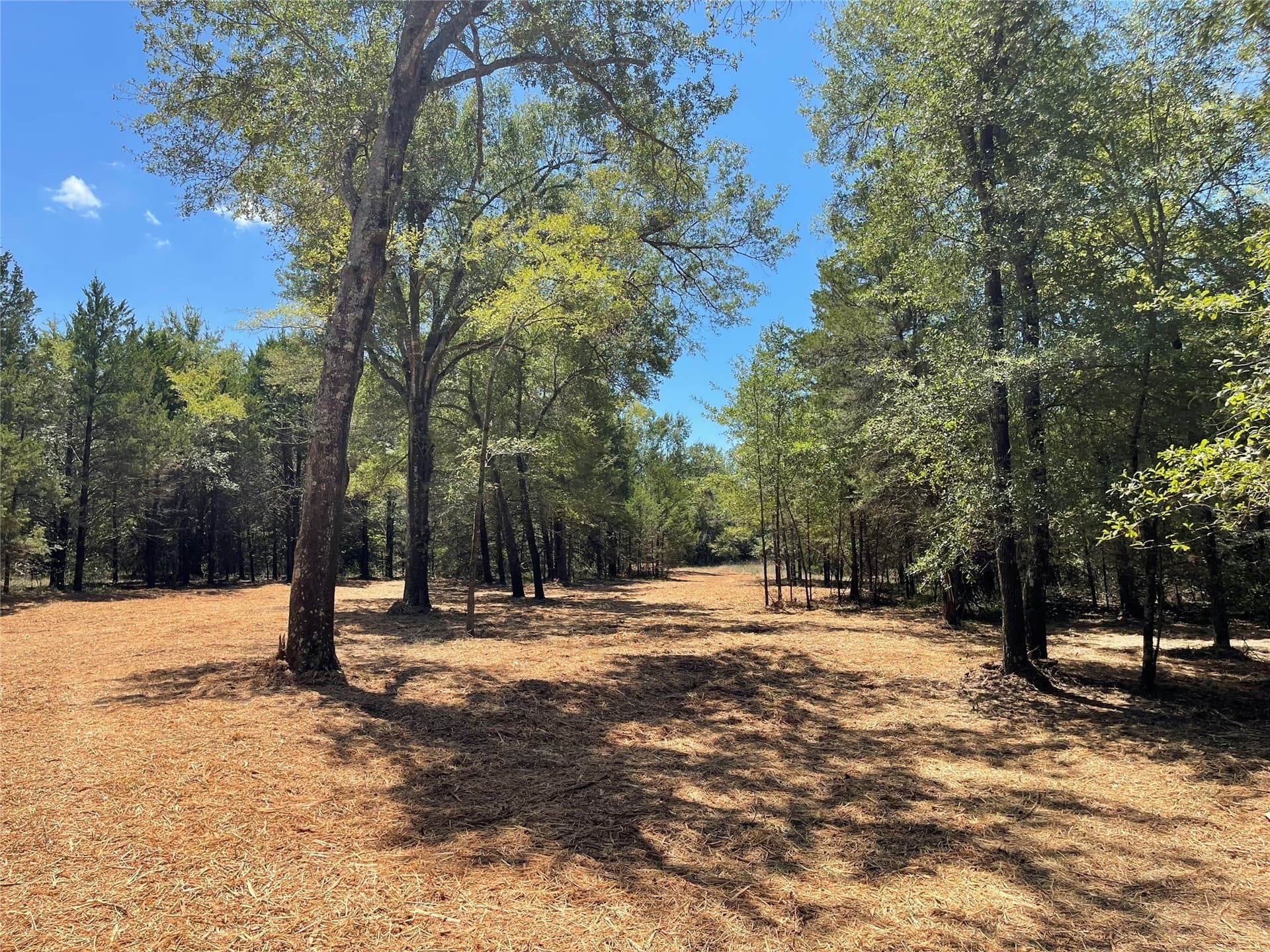10.63 acres in Freestone County - photo 17