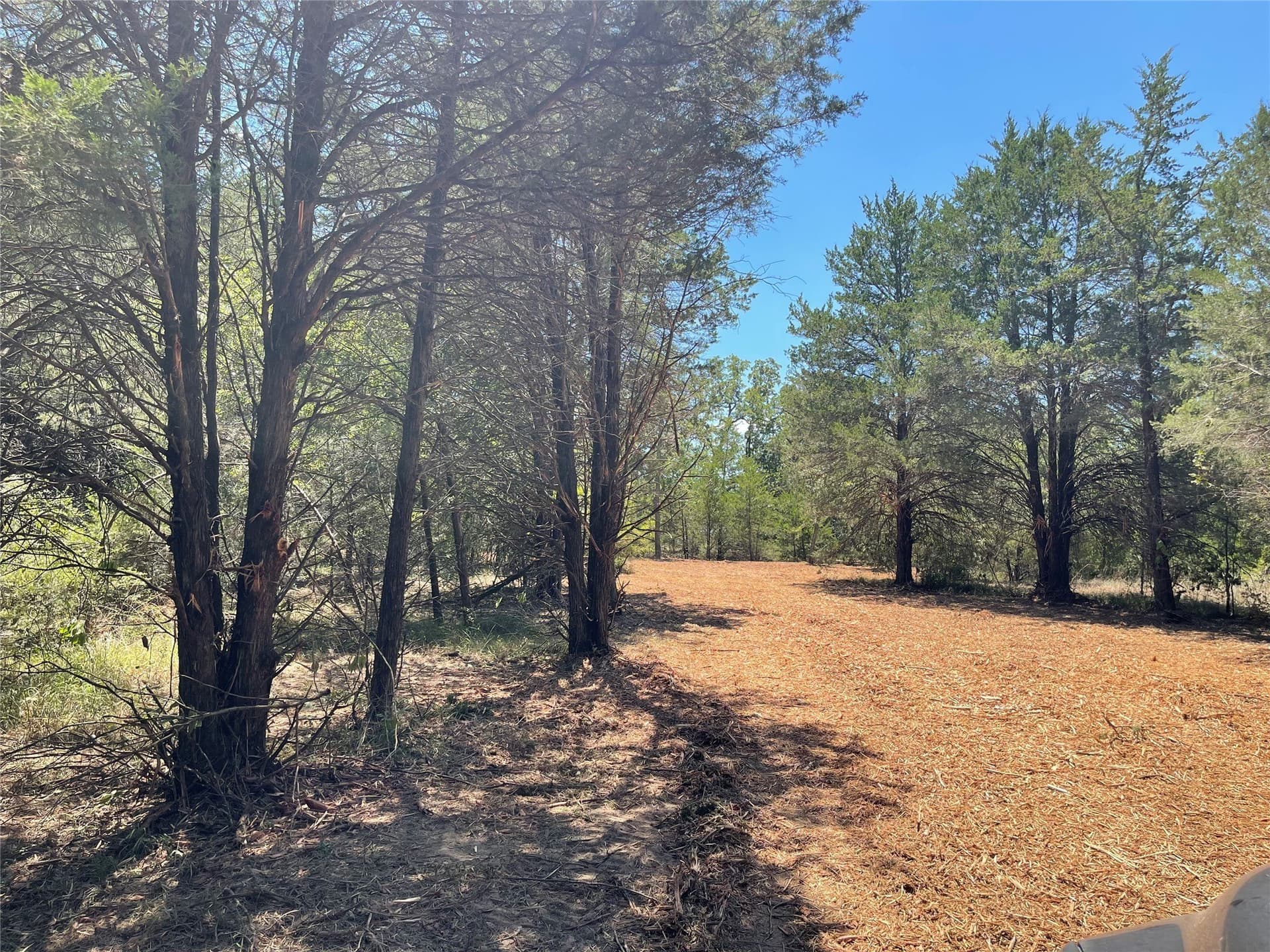 10.63 acres in Freestone County - photo 11
