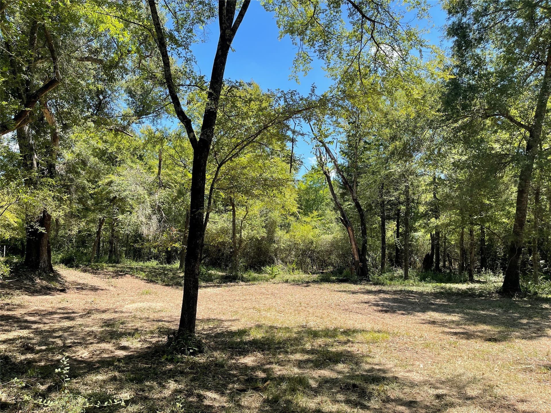 10.63 acres in Freestone County - photo 12