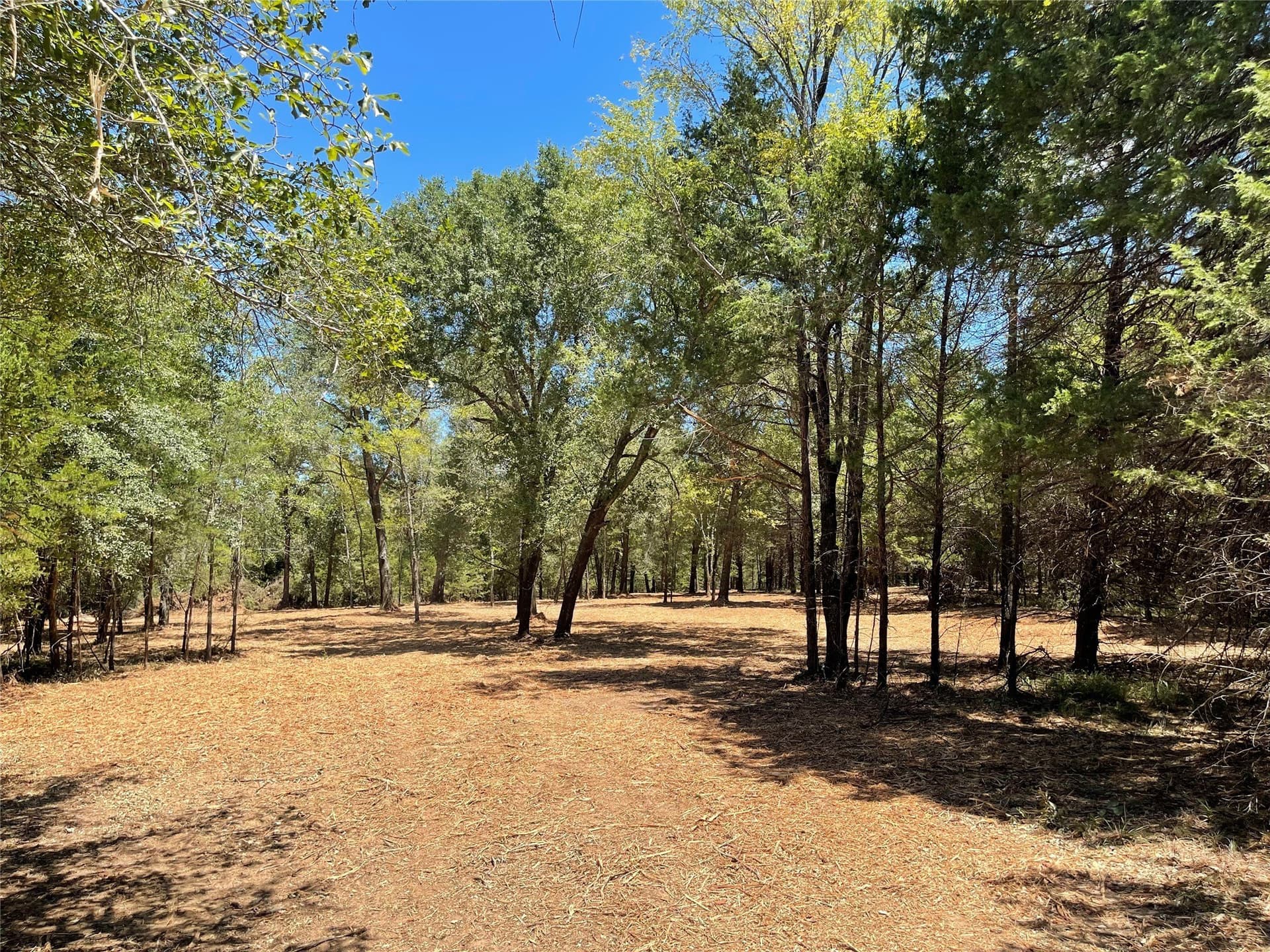 10.63 acres in Freestone County - photo 23